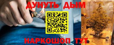 прущий лед Новозыбков