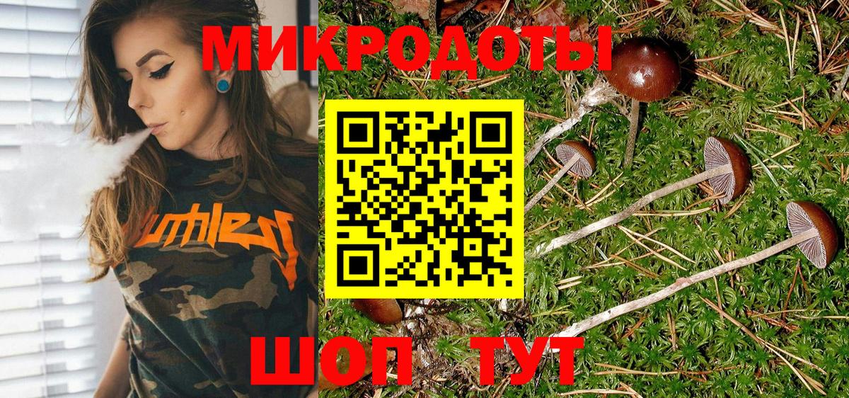 Саров  Псилоцибиновые грибы GOLDEN TEACHER  Вход с VPN  Псилоцибиновые грибы GOLDEN TEACHER 