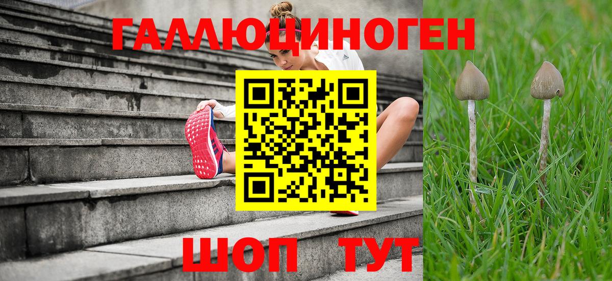 Псилоцибиновые грибы MAGIC MUSHROOMS Саров